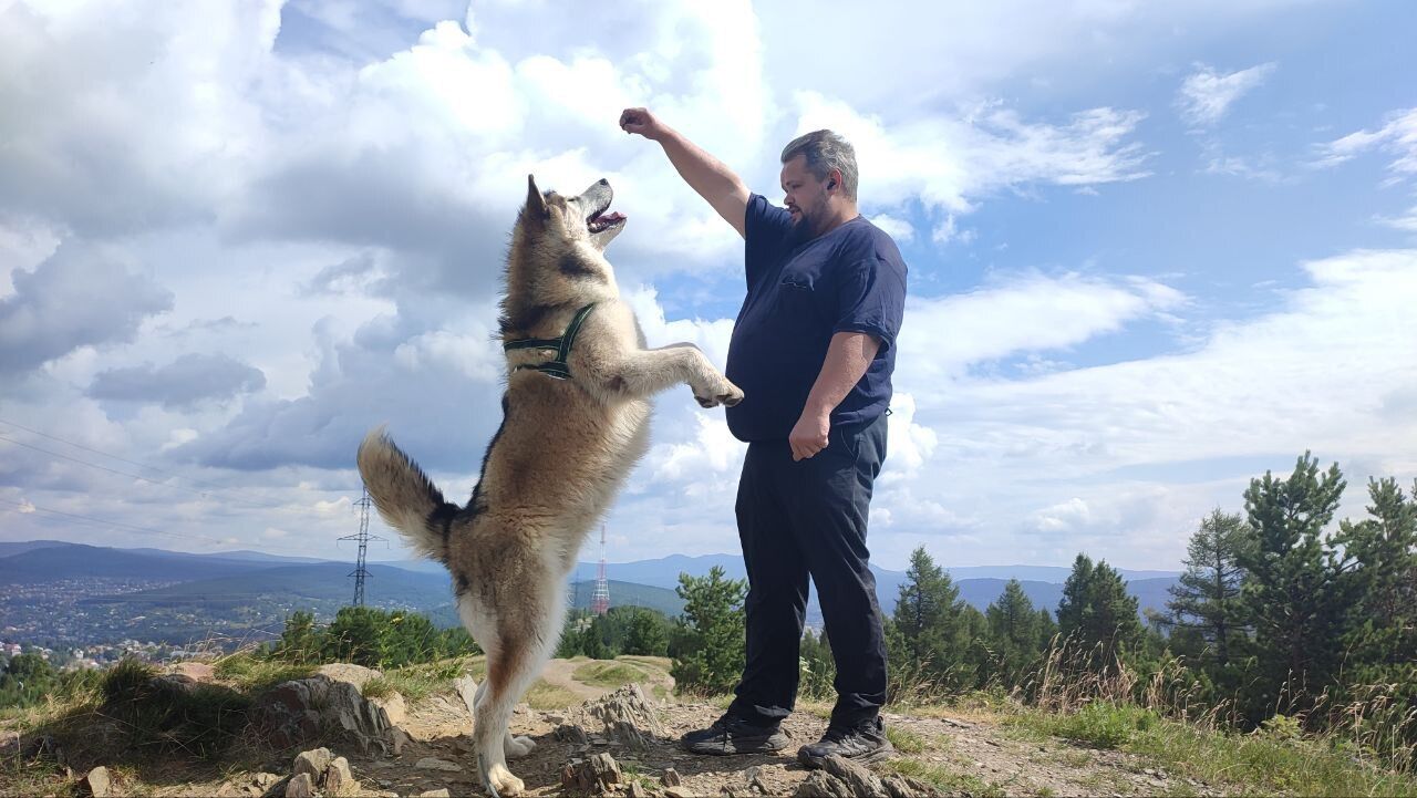 ���������� ��������, ���� ������� IvanVerzakov, 36 ���, ������������ ��� ������, ����� � ���������, c�������� ���������