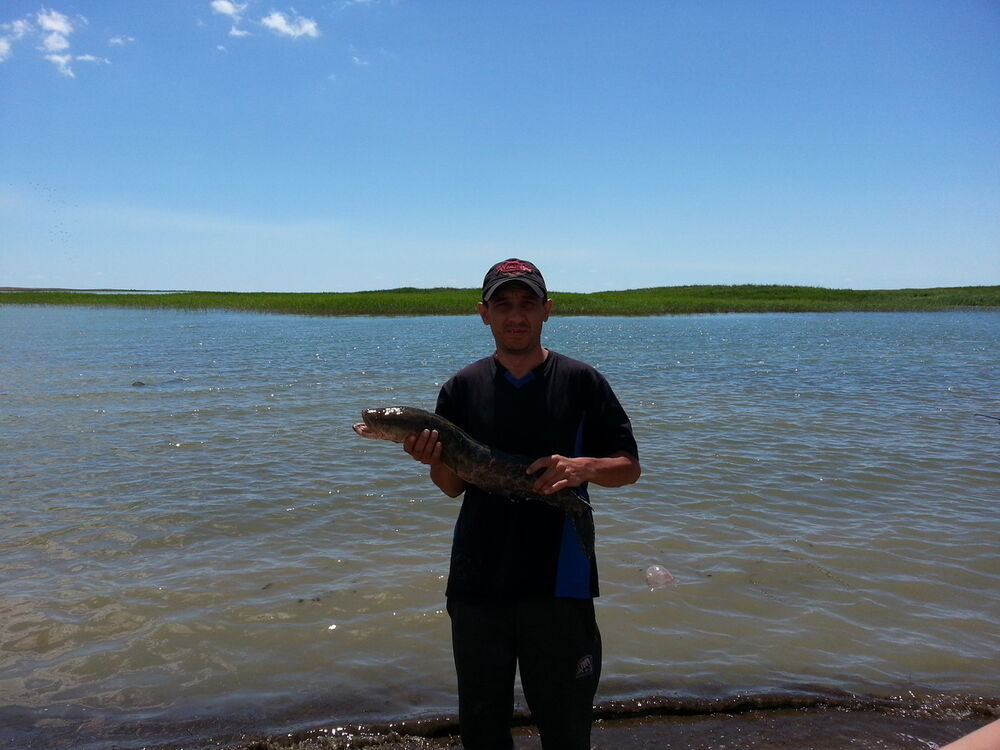 ���� 16441939 ������� �����, 40 ���, ���� ���������� � ������