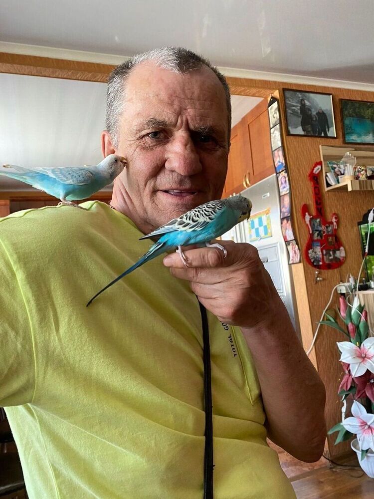 ���� 34692599 ������� ����, 31 ���, ���� ���������� � ������