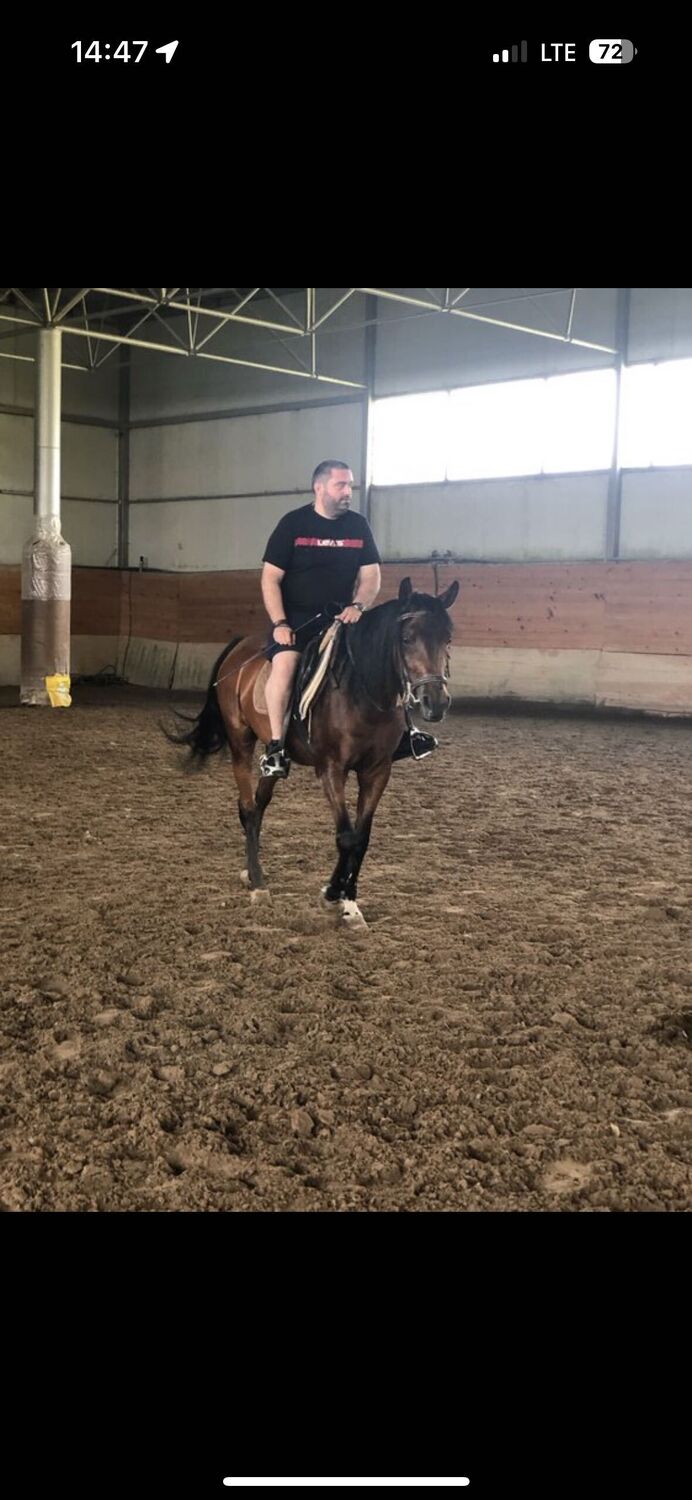 ���������� �������, ���� ������� Niko, 42 ����, ������������ ��� ������, ����� � ���������