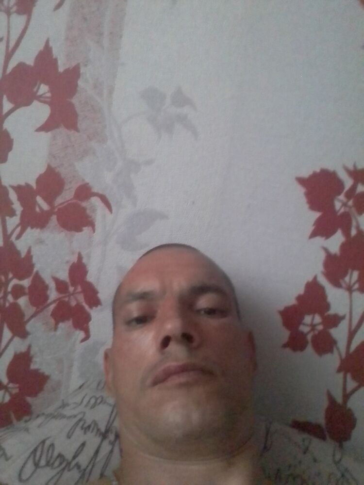  26375169  , 44 ,    