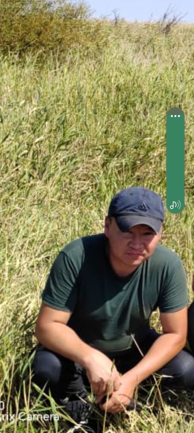 ���� 56052979 ������� Kuat, 42 ����, ���� ���������� � ������