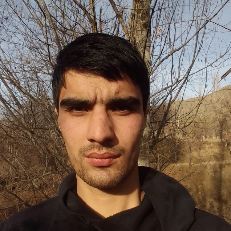 ���� 41550879 ������� �����, 29 ���, ���� ���������� � �������