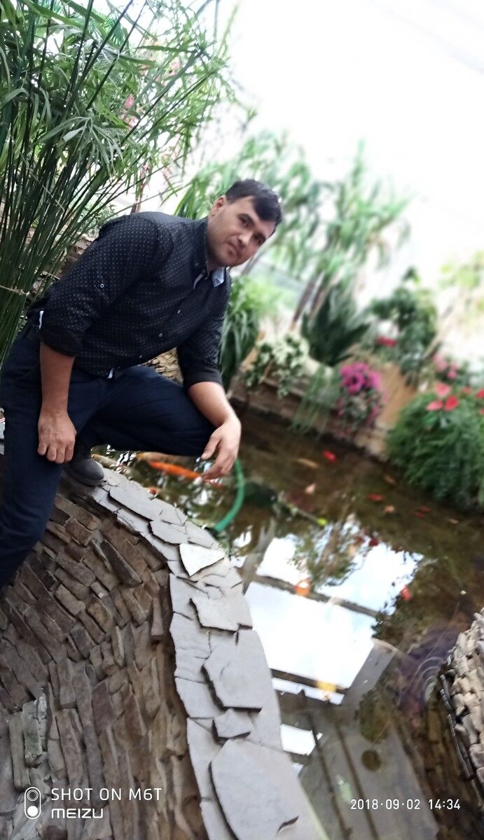  ,   Timur, 37 ,   ,   , c 