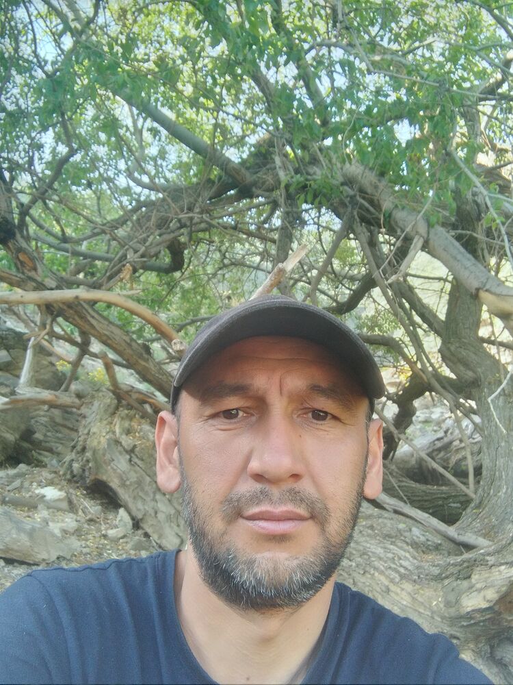  28183059  , 44 ,    