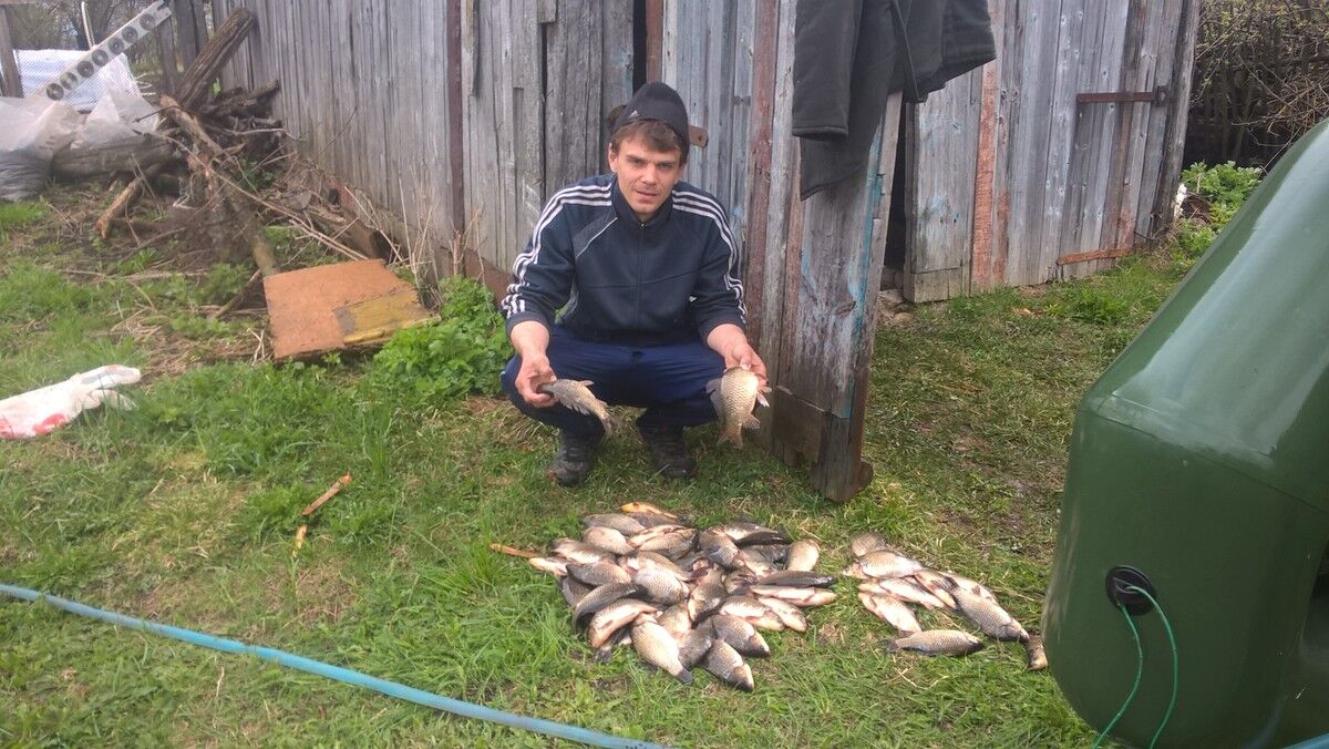 ���� 10198929 ������� �������, 38 ���, ���� ���������� � ����������