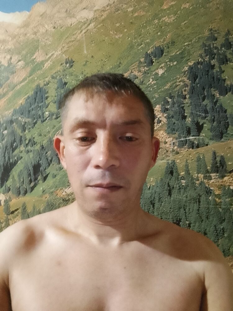  39602269  , 41 ,    