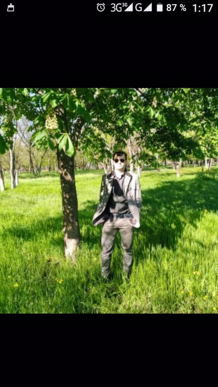  31655319  , 38 ,    