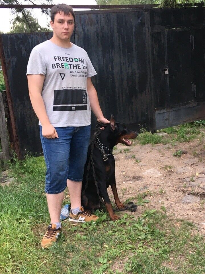 ���������� ���������, ���� ������� ���������, 28 ���, ������������ ��� ������, ����� � ���������, c�������� ���������