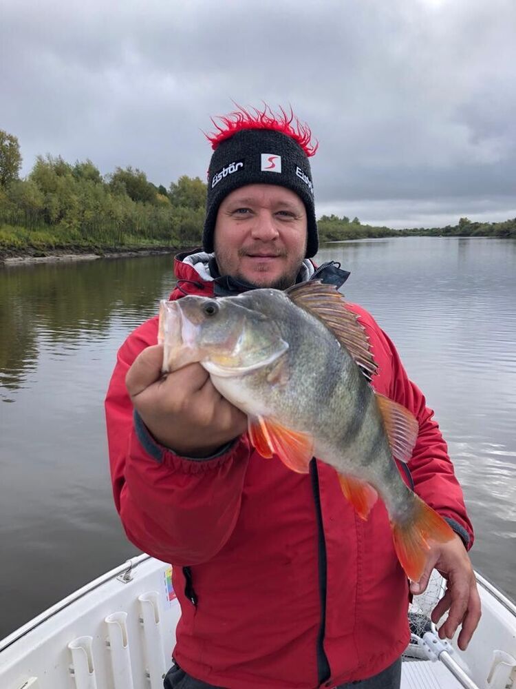 ���� 20526089 ������� ����, 40 ���, ���� ���������� � �����-����������