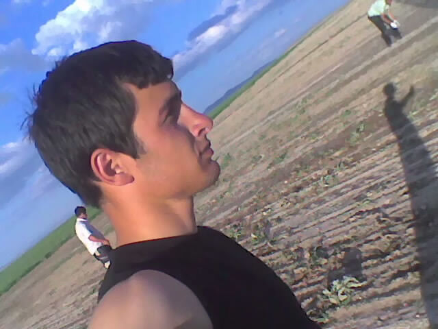  ,   Avto, 31 ,   ,   , c , 