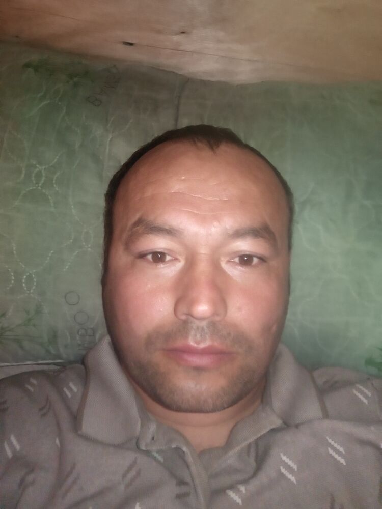  43358849  , 36 ,    