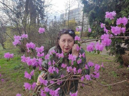 ���������� ������, ���� ������� ���, 65 ���, ������������ ��� ������, ����� � ���������