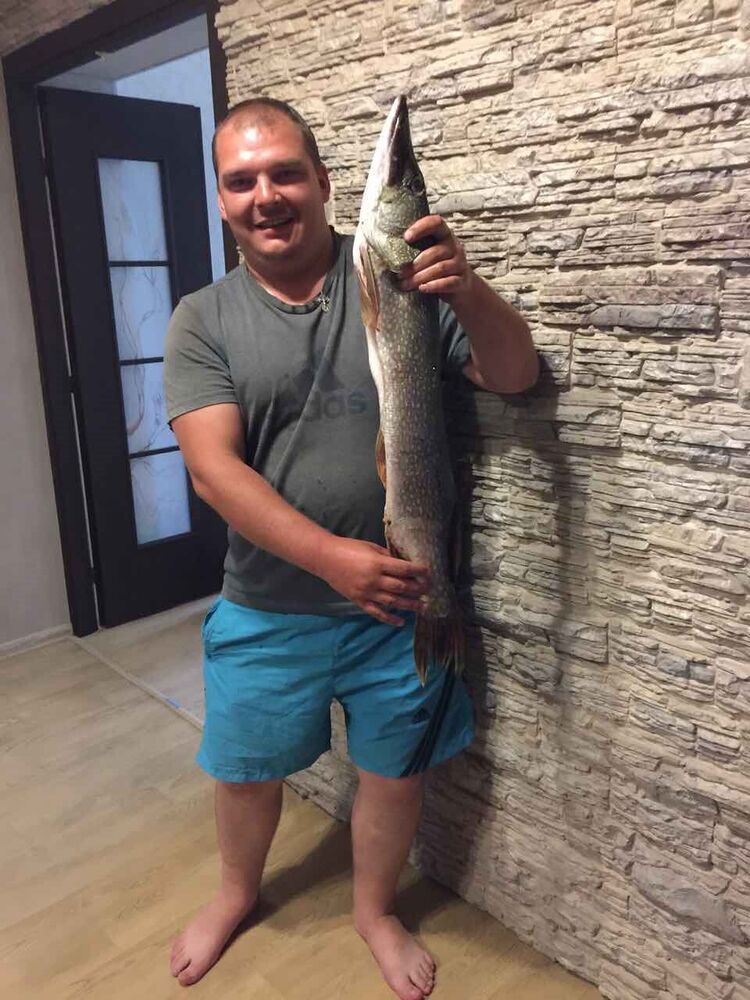 ���������� ������, ���� ������� ��������, 41 ���, ������������ ��� c�������� ���������