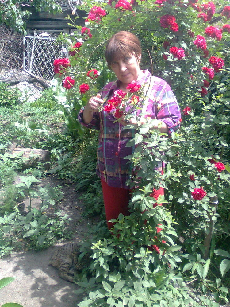 ���������� ������, ���� ������� �����, 51 ���, ������������ ��� ������, ����� � ���������, c�������� ���������