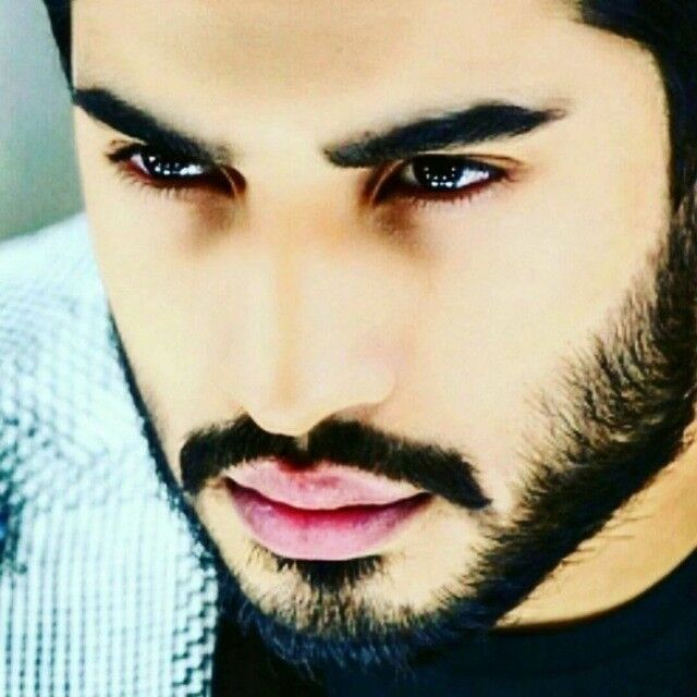 ���� 18498669 ������� ������, 36 ���, ���� ���������� � ������