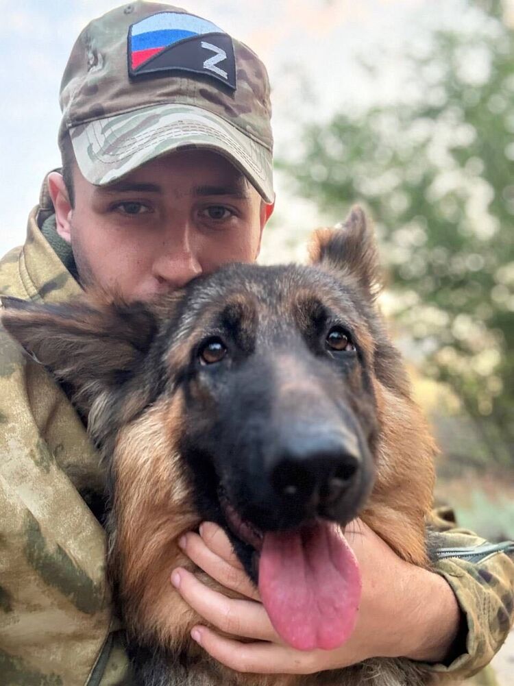 ���������� ���������, ���� ����� ������, 24 ����, ������������ ��� ������, ����� � ���������, c�������� ���������