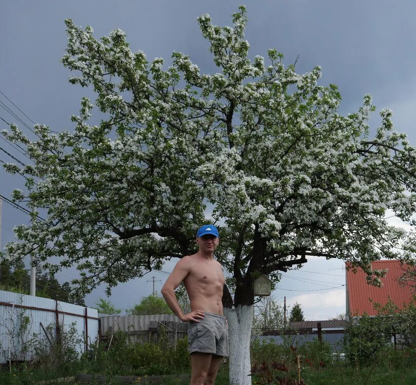 ���������� �������, ���� ������� �����, 36 ���, ������������ ��� ������, ����� � ���������, c�������� ���������, ���������