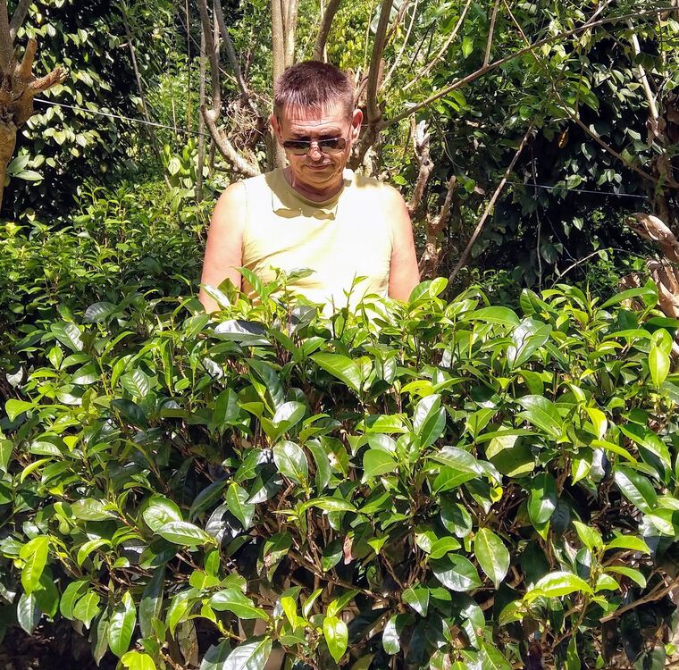 ���������� �����, ���� ������� ����, 100 ���, ������������ ��� ���������