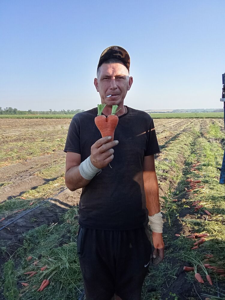 ���� 44682909 ������� ����������, 44 ����, ���� ���������� � ����������