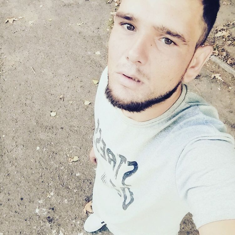  38111179  , 29 ,    