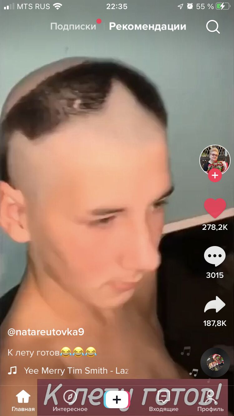  31257579  , 31 ,    -