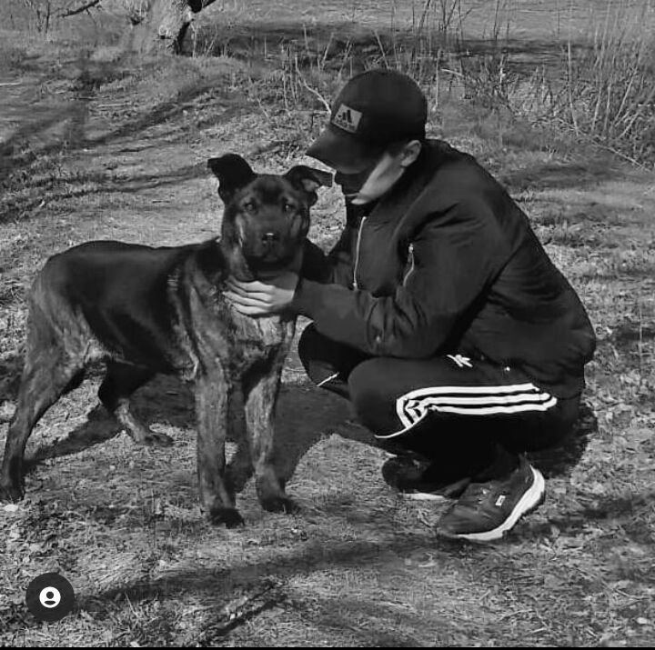 ���������� ��������, ���� ����� ����, 25 ���, ������������ ��� ������, ����� � ���������