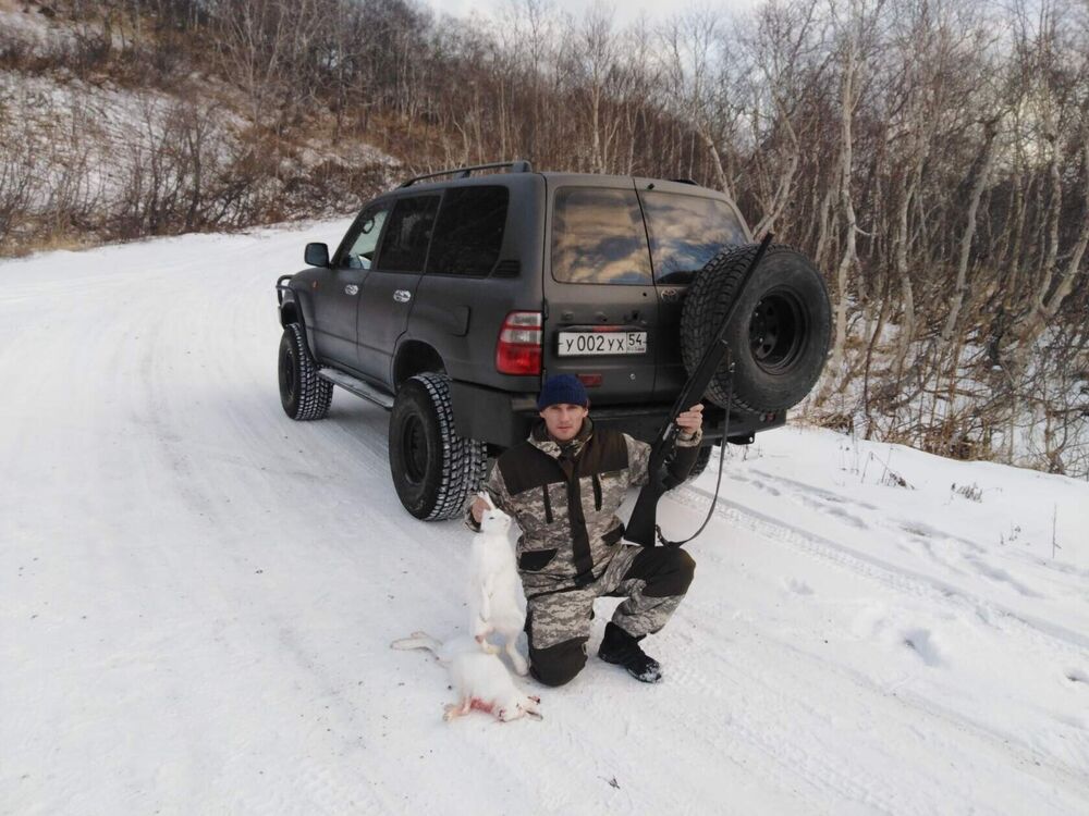  27031659  , 35 ,    -