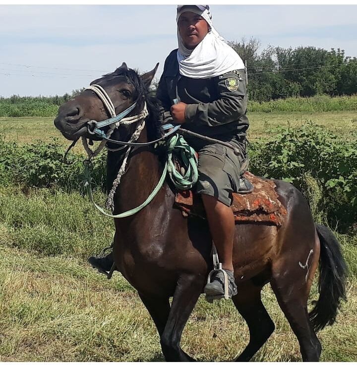 ���� 24439479 ������� Bakbergen, 38 ���, ���� ���������� � ������