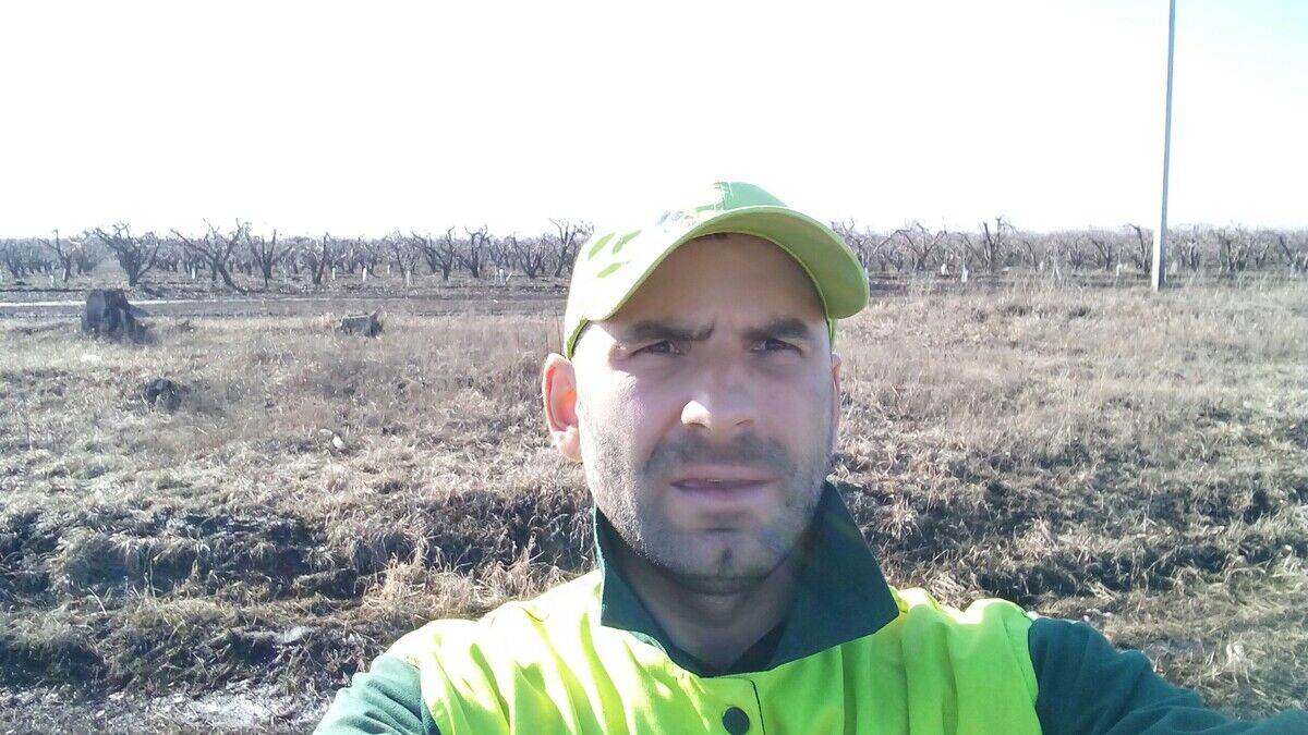 ���������� �����, ���� ������� �����, 37 ���, ������������ ��� ������, ����� � ���������