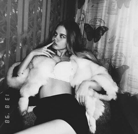 ���� 22452149 ������� ���������, 24 ����, ���� ���������� � ������