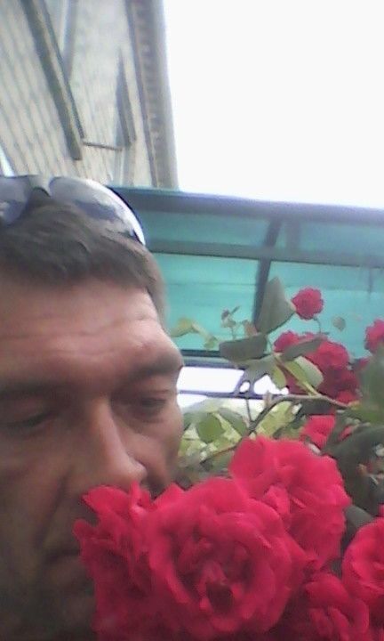 ���������� ������ ��������, ���� ������� ��, 48 ���, ������������ ��� ������, ����� � ���������