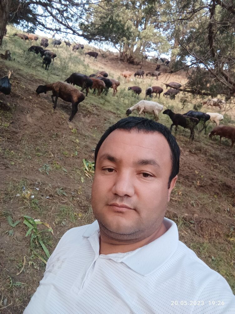  53655269  , 38 ,    -