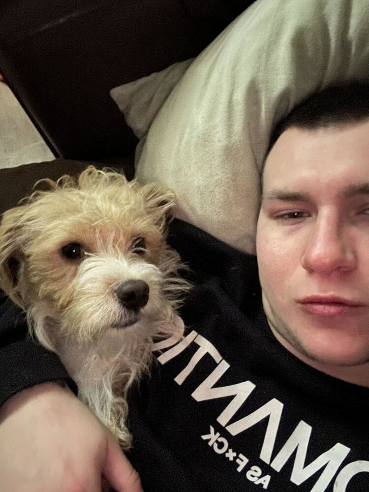 ���������� �����, ���� ������� ����, 28 ���, ������������ ��� ������, ����� � ���������, c�������� ���������, ���������