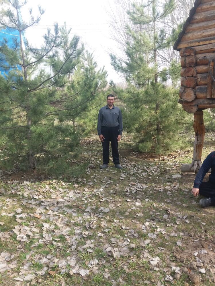 ���������� �����-���������, ���� ������� ������, 49 ���, ������������ ��� ������, ����� � ���������