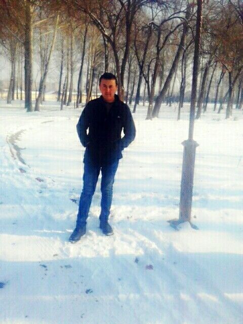  22338799  , 37 ,    