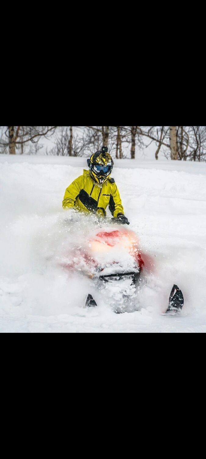 ���������� ������, ���� ������� �������, 38 ���, ������������ ��� ������, ����� � ���������, c�������� ���������