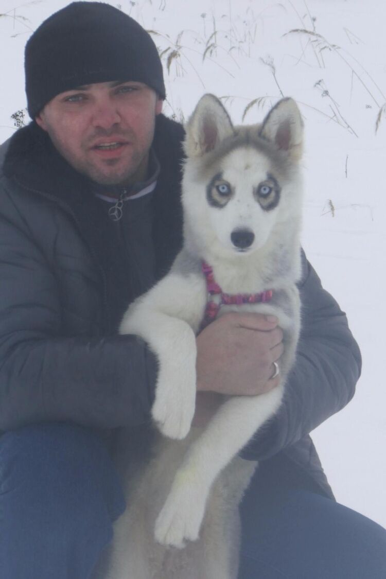 ���� 18819319 ������� ������, 43 ����, ���� ���������� � ������