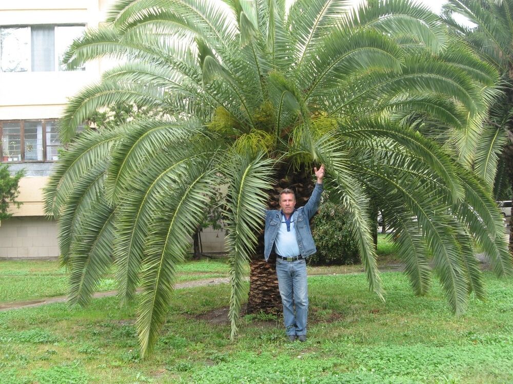  ,   , 59 ,   ,   , c , 