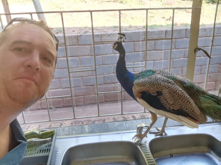  Centurion,   Pieter Botha, 39 ,   ,   