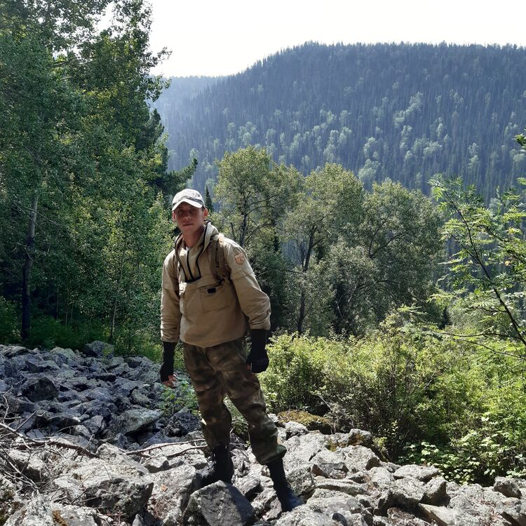 ���� 33687199 ������� ������, 33 ����, ���� ���������� � ������������