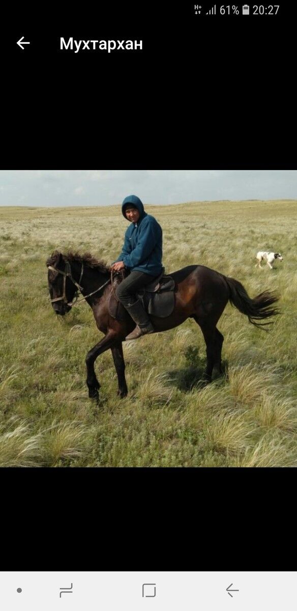 ���� 19388029 ������� �����, 37 ���, ���� ���������� � ���������