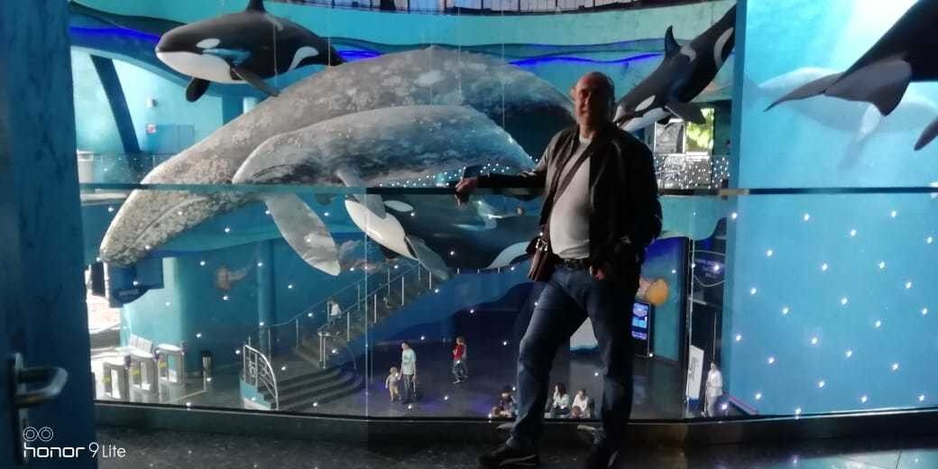  -,   Konstantin, 50 ,   ,   , c 
