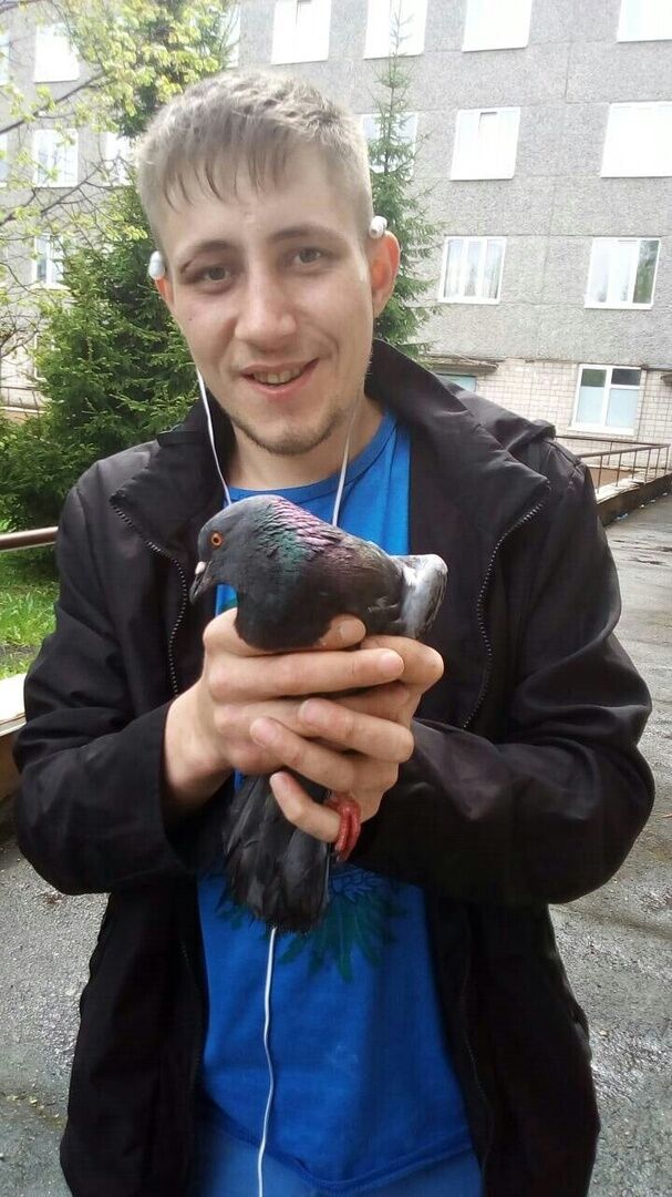 ���� 26129949 ������� ����, 31 ���, ���� ���������� � �������