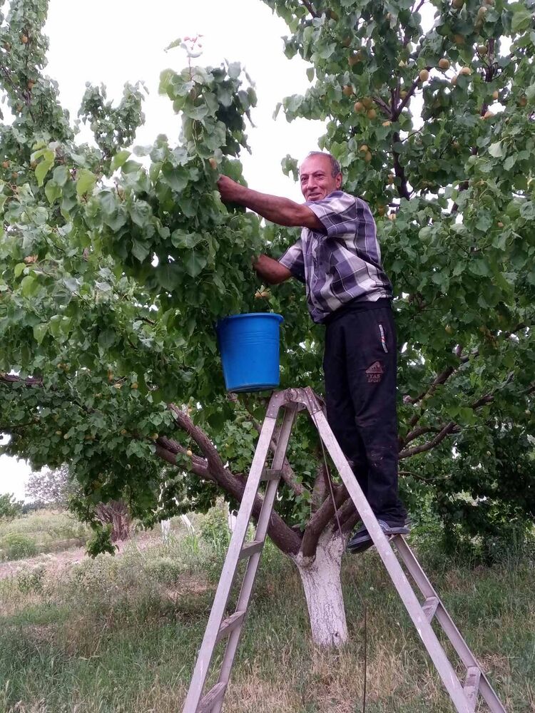  ,   Albert, 59 ,   ,   
