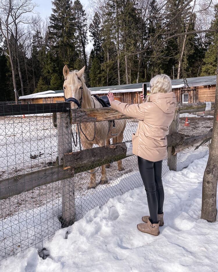 ���������� ������, ���� ������� ���������, 27 ���, ������������ ��� ����� � ���������, c�������� ���������, ���������