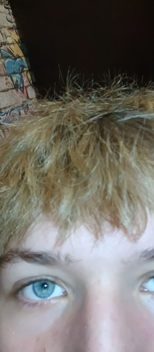 -,   , 20 ,   ,   