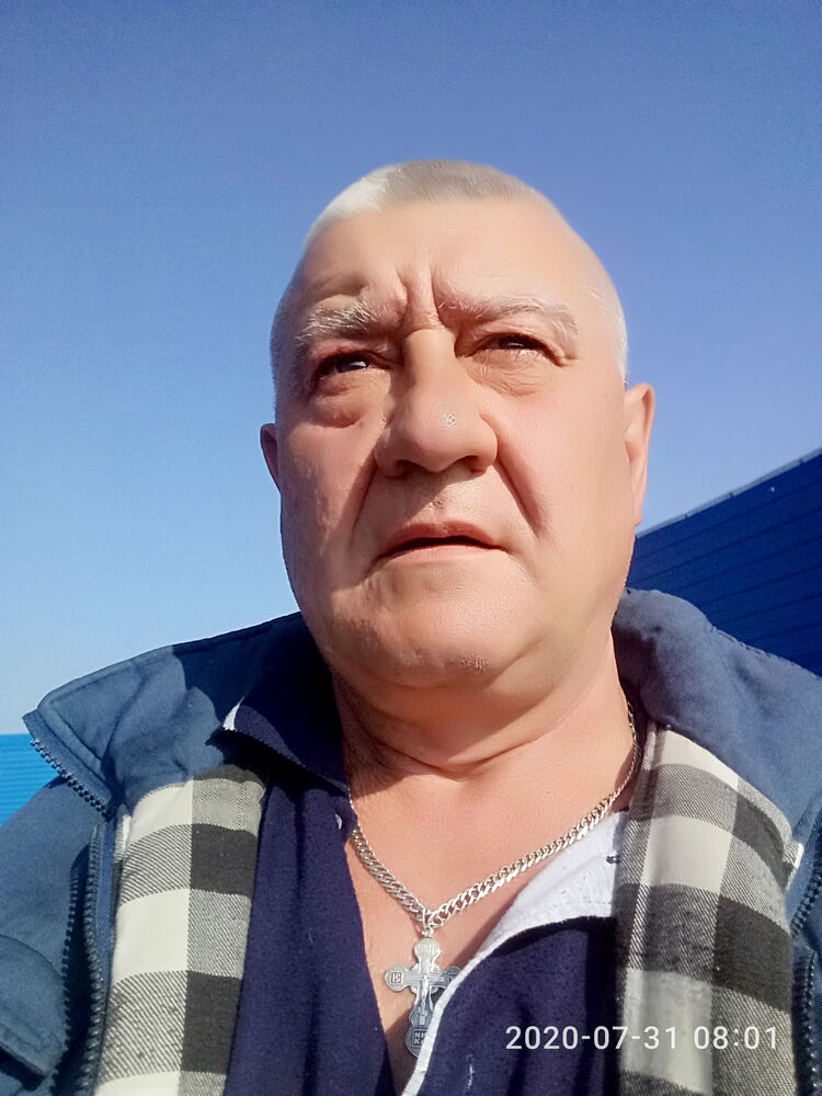  31641079  , 62 ,     