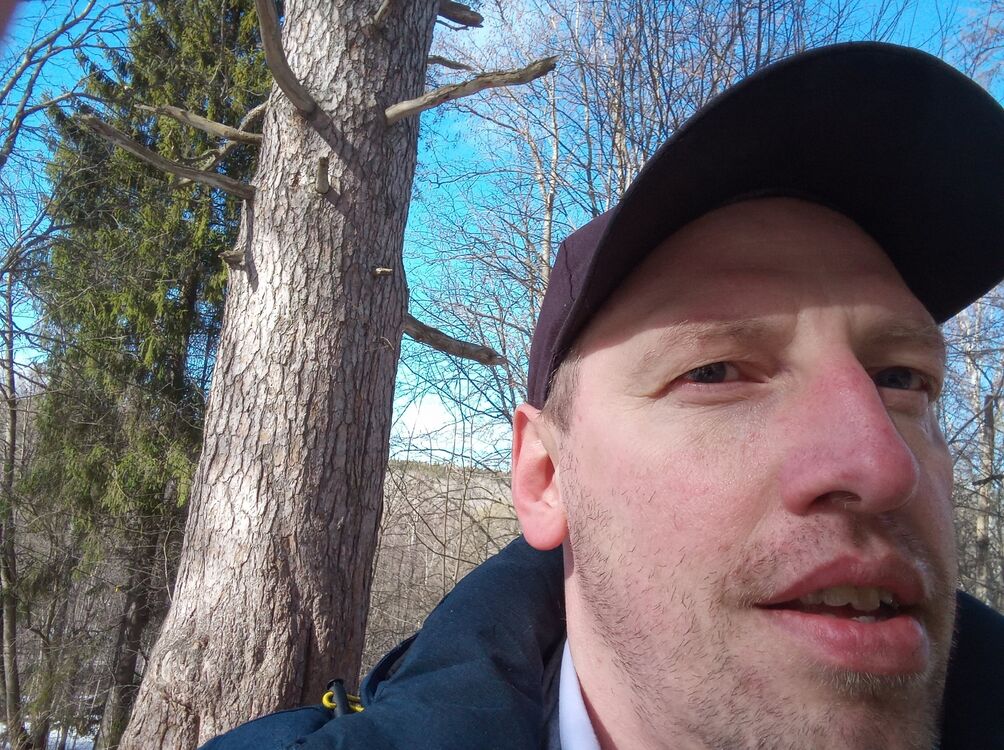 ���� 55843369 ������� �������, 42 ����, ���� ���������� � �����������