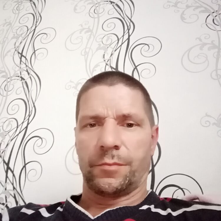 ���� 24992869 ������� ����, 47 ���, ���� ���������� � ������